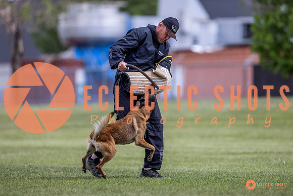 2025-K9Force-MayExams-8574