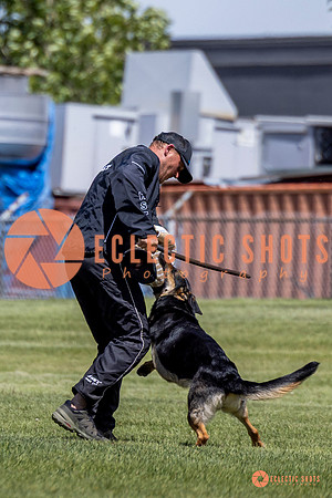 2025-K9Force-MayExams-7303-2
