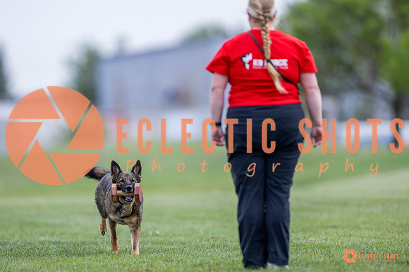 2025-K9Force-MayExams-6140