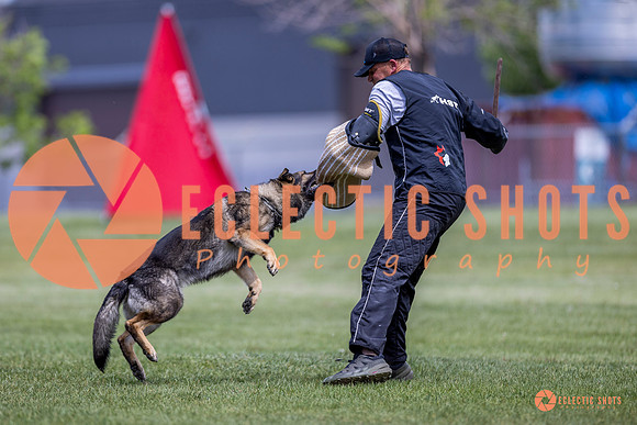 2025-K9Force-MayExams-7761