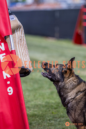 2025-K9Force-MayExams-6836