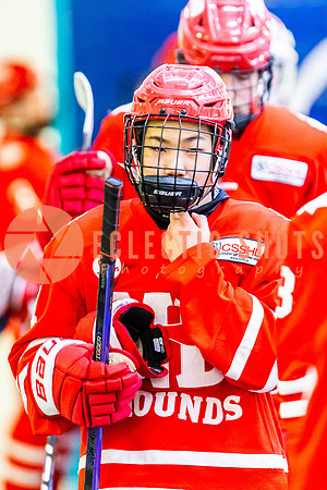 2022.11.11VWGiants-NDHounds-4219