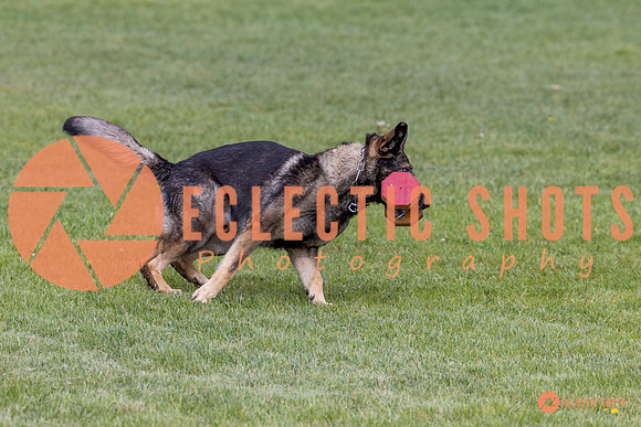 2025-K9Force-MayExams-5861