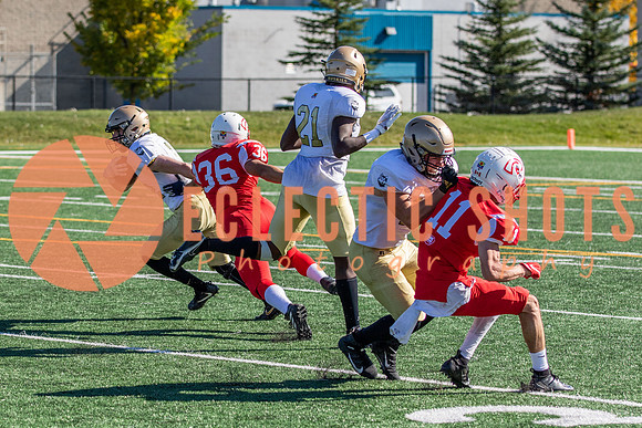 CalgaryColts-0981