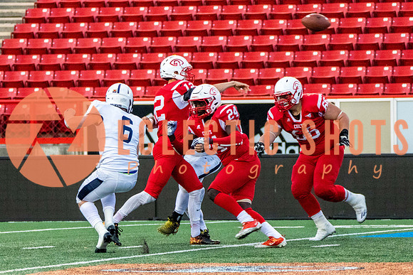 CalgaryColts2018-1332
