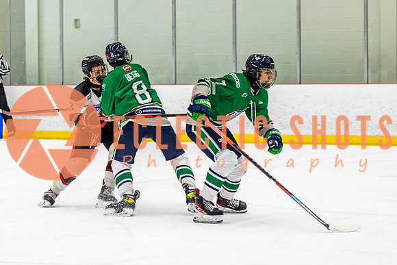 2022.11.11CalBisons-FVTBirds-3913