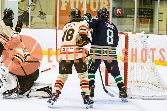RMC2021-11-12-LloydBobcats-FVT-Birds-6161