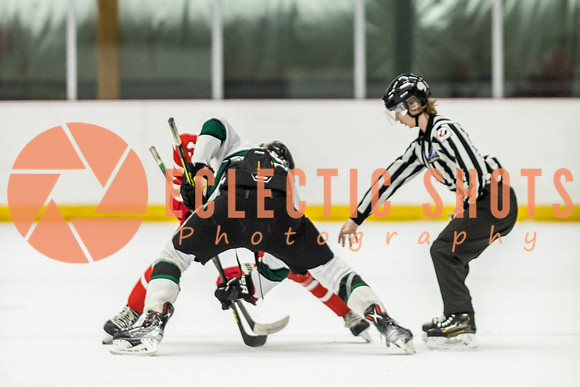 2022.11.10ShParkFlyers-OHAPenticton-3500