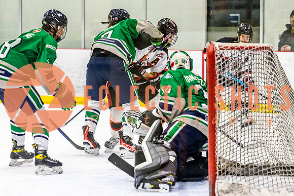 2022.11.11CalBisons-FVTBirds-3971