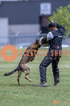 2025-K9Force-MayExams-7335