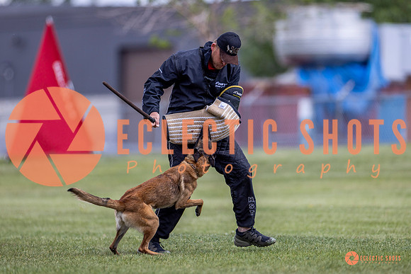 2025-K9Force-MayExams-8559