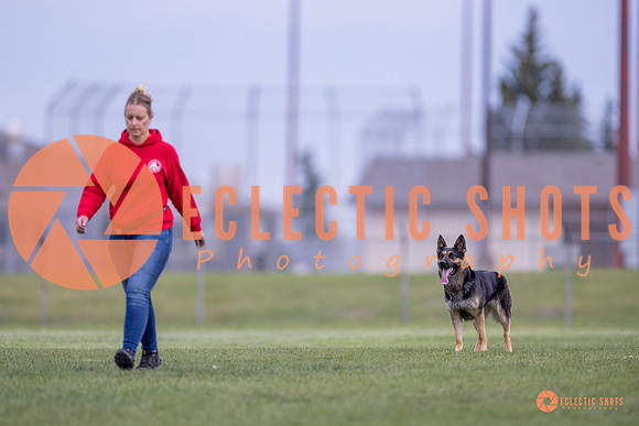 2025-K9Force-MayExams-6316