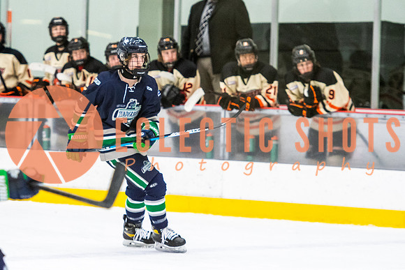 RMC2021-11-12-LloydBobcats-FVT-Birds-6164