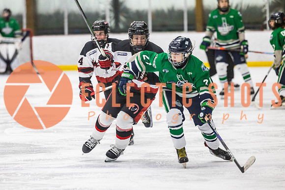 2022.11.11CalBisons-FVTBirds-4053