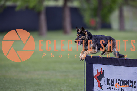 2025-K9Force-MayExams-6371