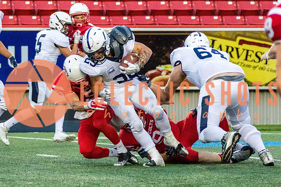 CalgaryColts2018-1487