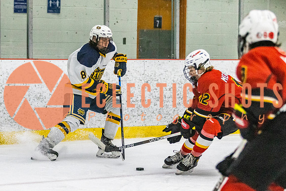 2021-11-13-StAlbertSabres-CalFlames-3938
