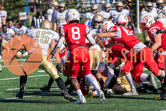 CalgaryColts-1256