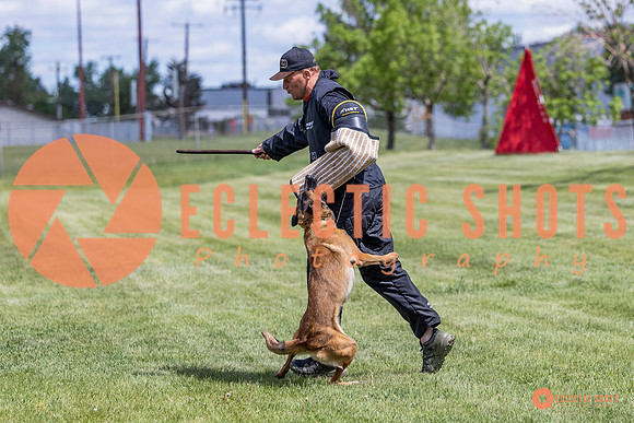 2025-K9Force-MayExams-7692
