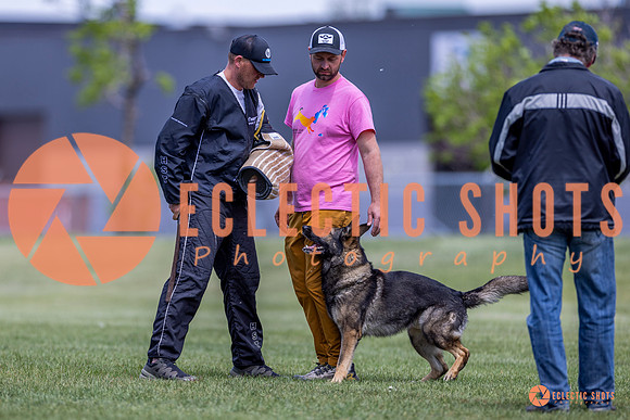 2025-K9Force-MayExams-7816