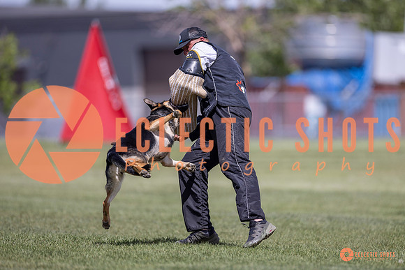 2025-K9Force-MayExams-8105