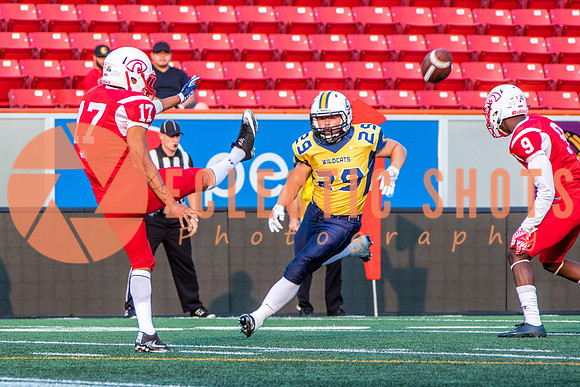 CalgaryColts-2639