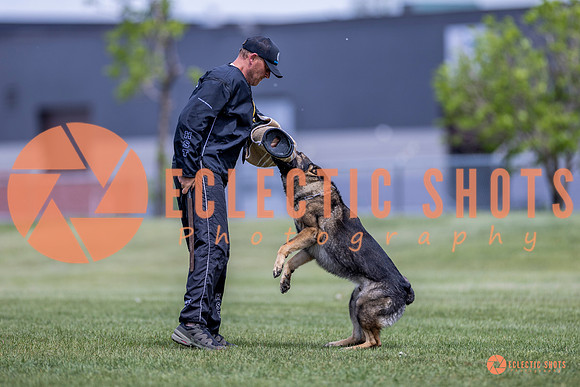 2025-K9Force-MayExams-7796