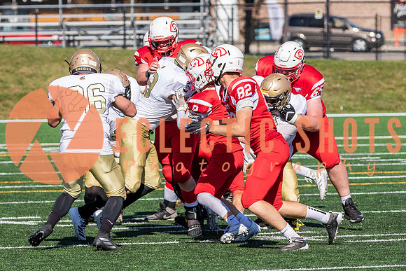 CalgaryColts-1418