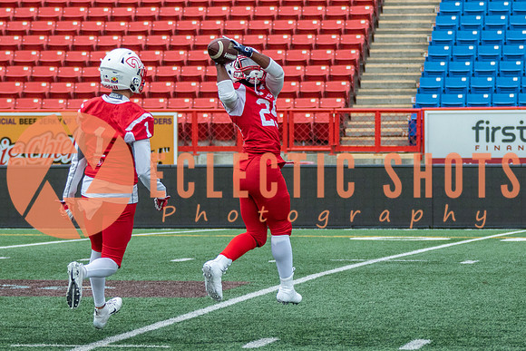 CalgaryColts2018-0891