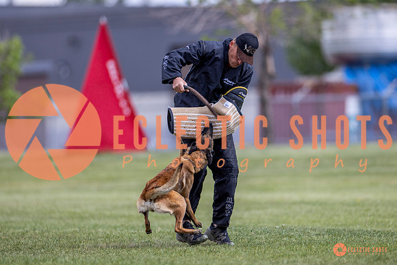 2025-K9Force-MayExams-8555