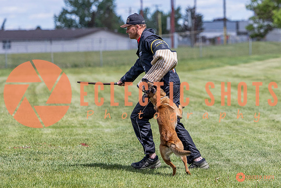 2025-K9Force-MayExams-7701