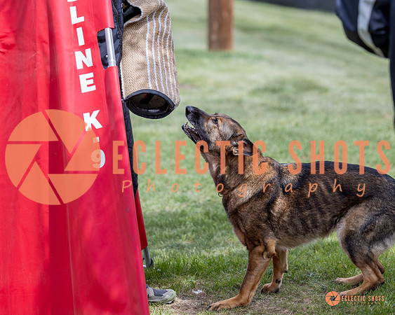 2025-K9Force-MayExams-6346