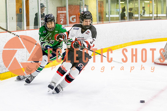 2022.11.11CalBisons-FVTBirds-4073