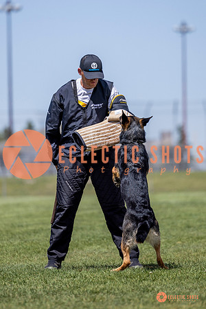2025-K9Force-MayExams-7269