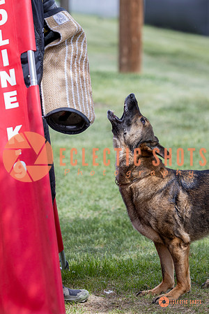 2025-K9Force-MayExams-6374