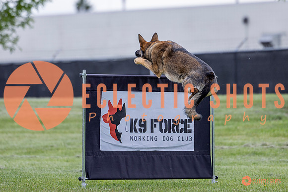 2025-K9Force-MayExams-5465
