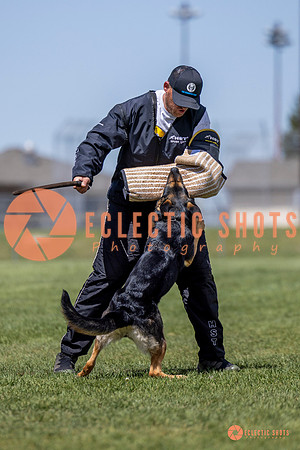 2025-K9Force-MayExams-7277