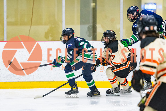 RMC2021-11-12-LloydBobcats-FVT-Birds-6021