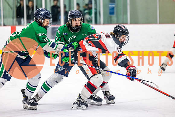 2022.11.11CalBisons-FVTBirds-3955