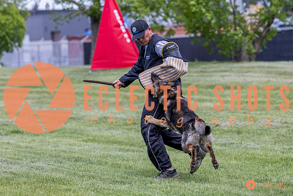 2025-K9Force-MayExams-6939