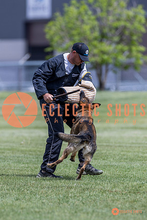2025-K9Force-MayExams-7357