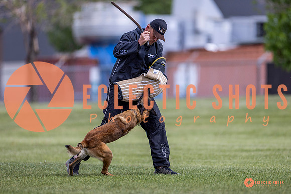 2025-K9Force-MayExams-8572
