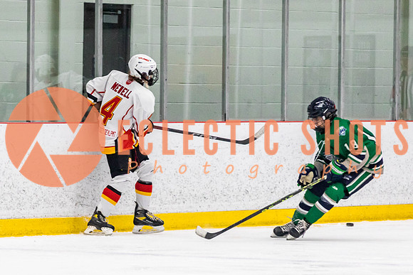 2022.11.09CalFlames-FVTBirds-0470
