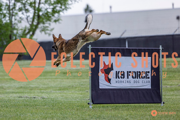 2025-K9Force-MayExams-5472
