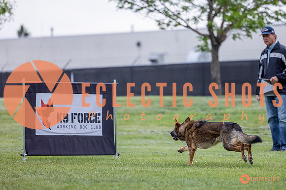 2025-K9Force-MayExams-5457