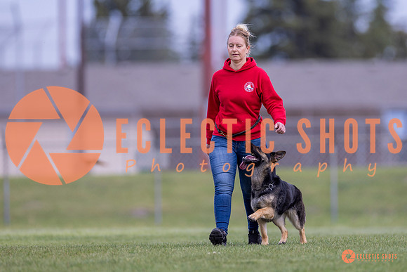 2025-K9Force-MayExams-6264