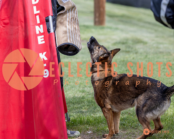2025-K9Force-MayExams-6350