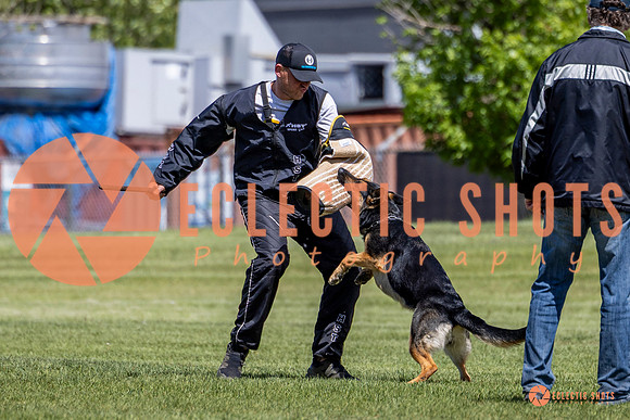 2025-K9Force-MayExams-7286
