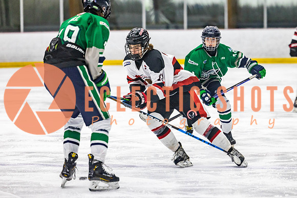 2022.11.11CalBisons-FVTBirds-4221