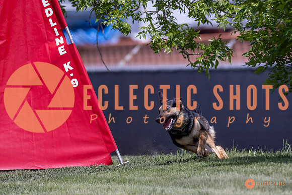 2025-K9Force-MayExams-8008